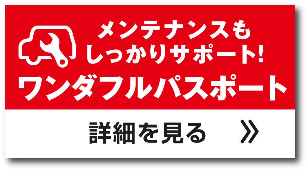ワンダフルパスポート