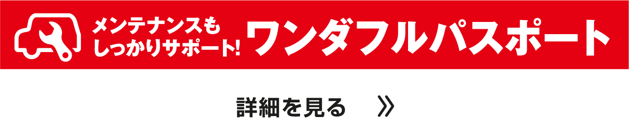ワンダフルパスポート