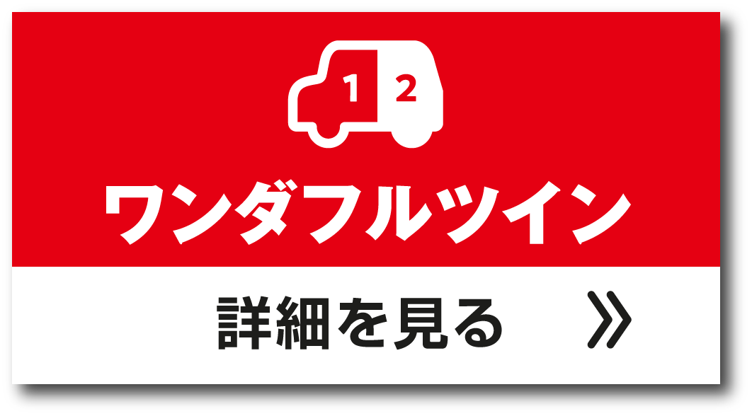 ワンダフルツイン