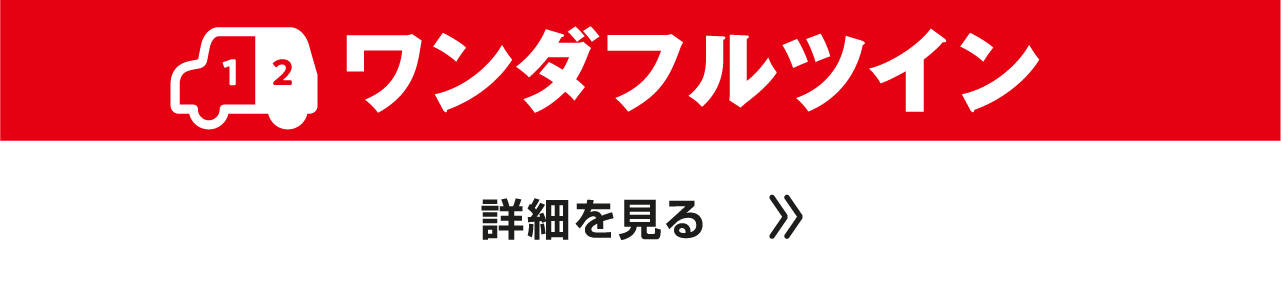ワンダフルツイン