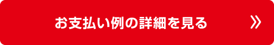 お支払い例の詳細を見る